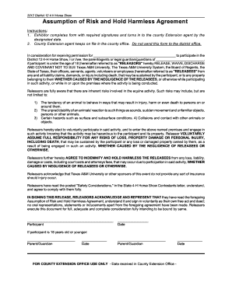 California Hold Harmless Agreement Template california-hold-harmless-agreement-template